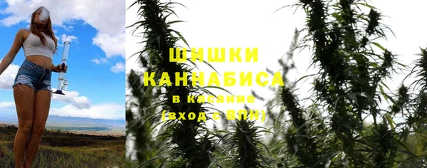 альфа пвп Горно-Алтайск