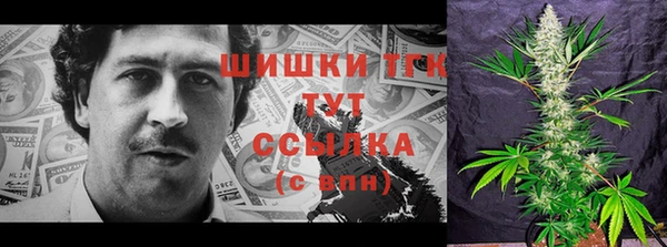 2c-b Горнозаводск