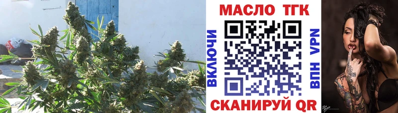 ТГК THC oil  Купить закладки  Тимашёвск 