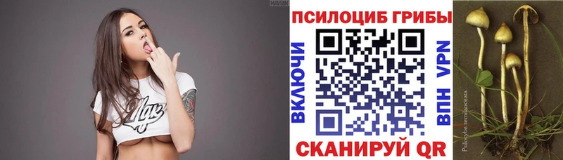 Купить закладки  Тимашёвск  Галлюциногенные грибы MAGIC MUSHROOMS 